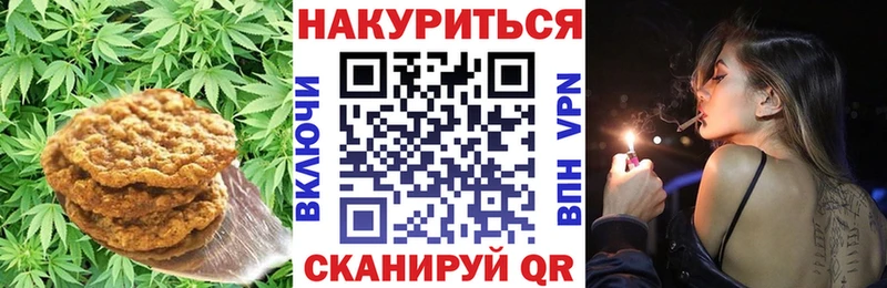где найти наркотики  Злынка  Canna-Cookies марихуана 