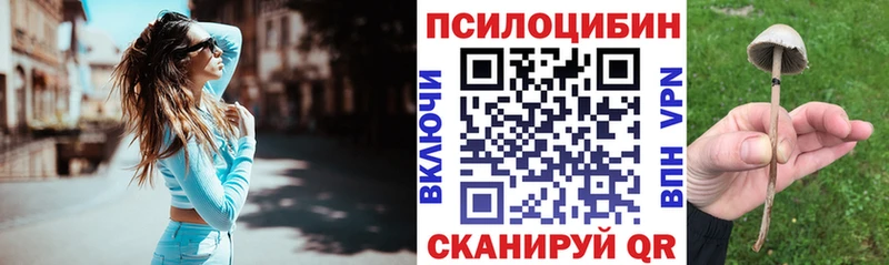 Псилоцибиновые грибы MAGIC MUSHROOMS  Злынка 